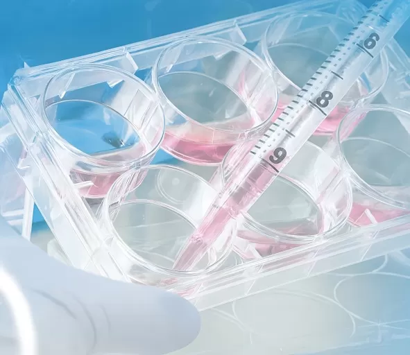 Selecting the Optimal Cell Therapy Media for Effective MSC Expansion